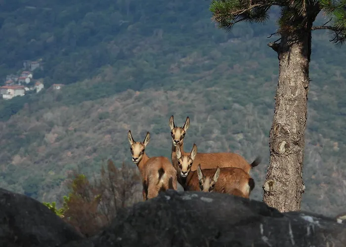 Вилла Scalotta - Nature Relax View With Private Jacuzzi And