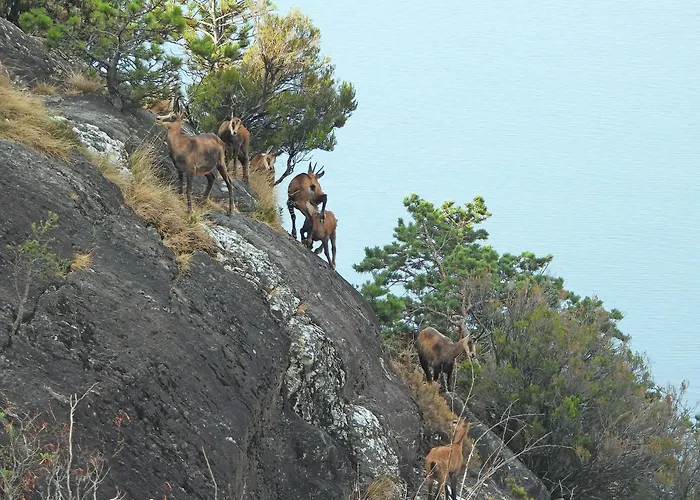 Scalotta - Nature Relax View With Private Jacuzzi And Вилла *
