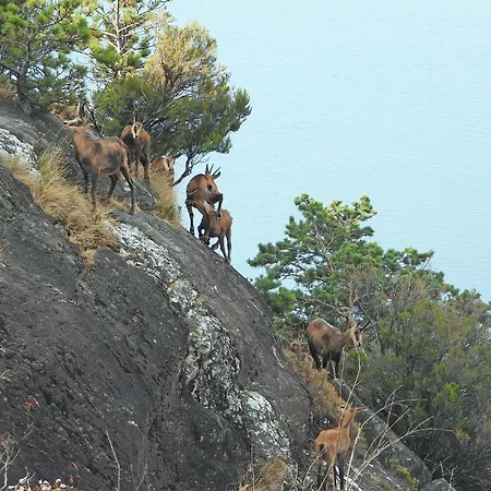 Scalotta - Nature Relax View With Private Jacuzzi And Willa *